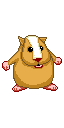 GIF of a jumping hampster, courtesy of themostamazingwebsiteontheinternet.com